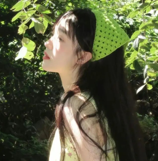 侨女日记
